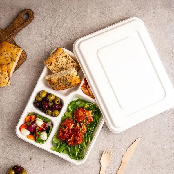 Bagasse Meal Tray ecopek