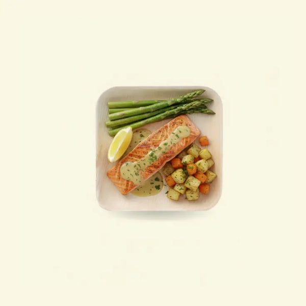 Areca leaf square plates 9x9" inch ecopek